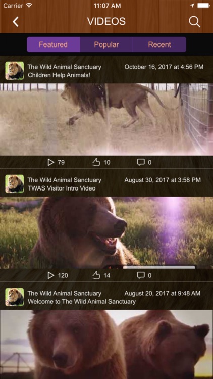 The Wild Animal Sanctuary screenshot-4