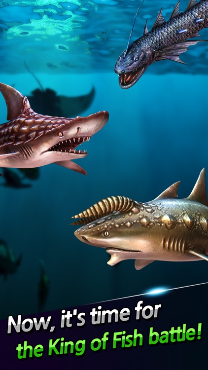 Ace Fishing: Wild Catch