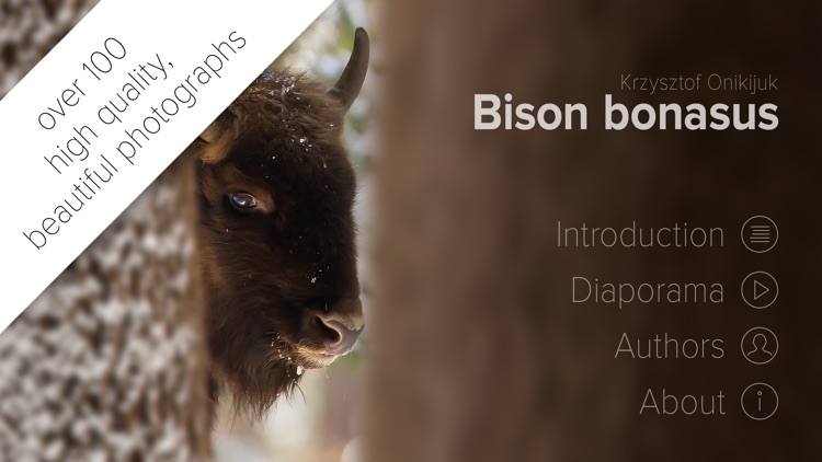 Bison bonasus screenshot-0