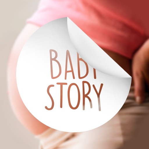 Baby Story Pregnancy Milestone