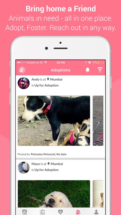 PetMates - Pet Social screenshot-3