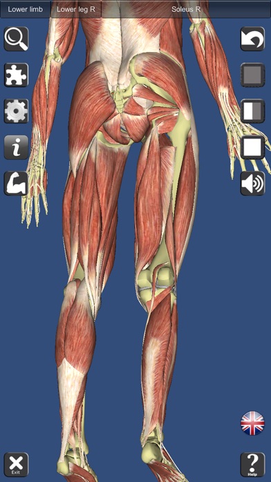 Visual Muscles 3D Screenshot 6