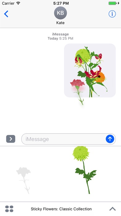 Sticky Flowers: Classic Set screenshot 2