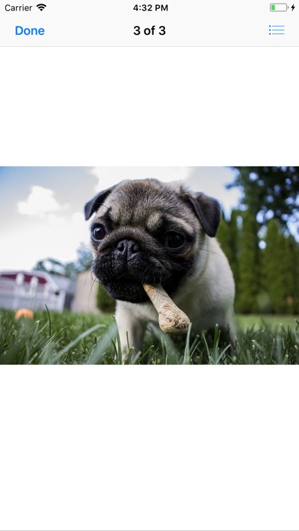 Pug Sticker Pack screenshot-7