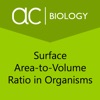 Surface Area-to-Volume Ratio