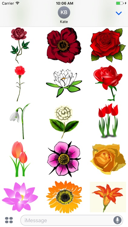 Radiant Flower Stickers