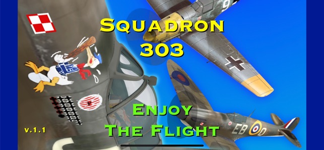 Squadron 303