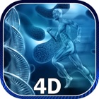 AR Anatomy 4D+