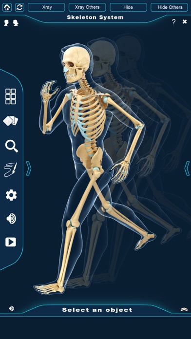 My Skeleton Anatomy screenshot 4