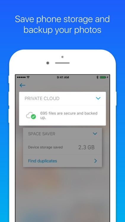 Keepsafe Photo Vault Locker