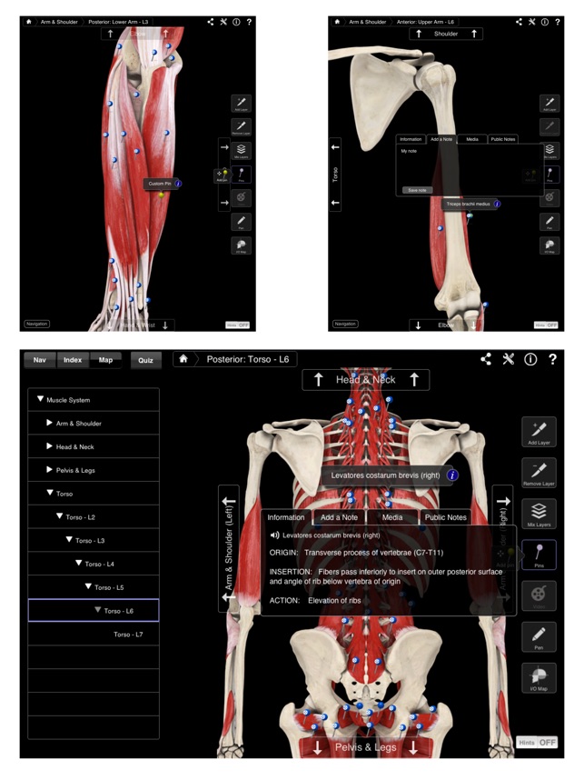 Muscle System Pro III(圖5)-速報App