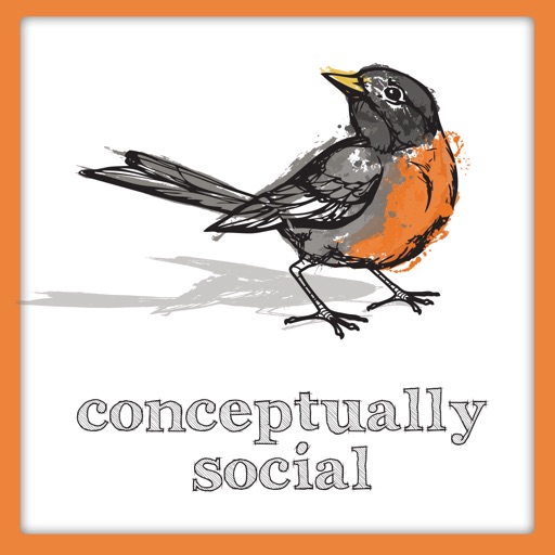 Conceptually Social