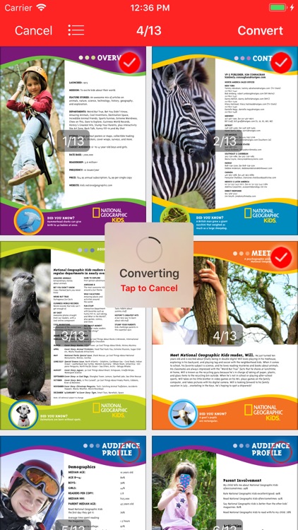 Pdf 2 Jpg screenshot-5