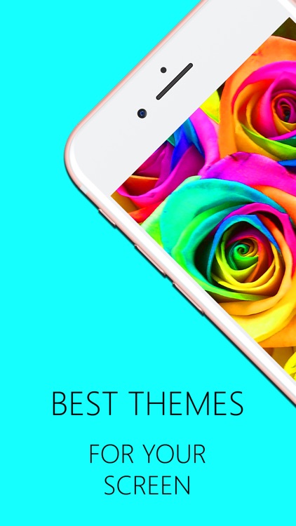 Wallpapers & Backgrounds Style