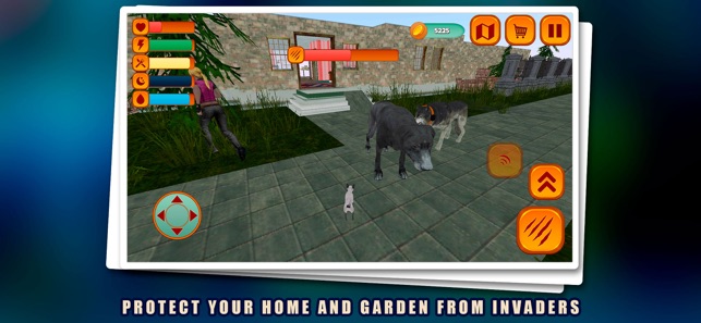 Chihuahua Puppy Pet Simulator(圖2)-速報App