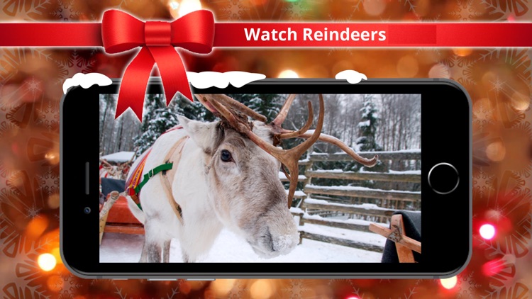 Reindeer Cam Christmas 2018