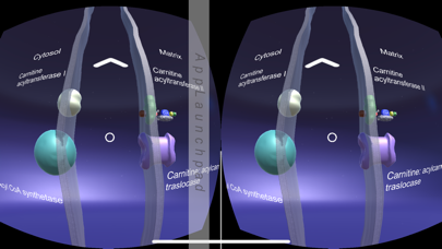 Mitochon VR II screenshot 3