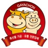 가야촌 - gayachon