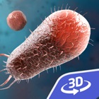 Top 20 Education Apps Like Bacteria 3D - Best Alternatives