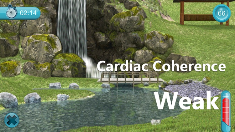 Cardiac Coherence : The Garden