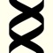 MultiCodons shows codons and corresponding amino acids, codon table, and translates DNA/protein sequence into protein/DNA