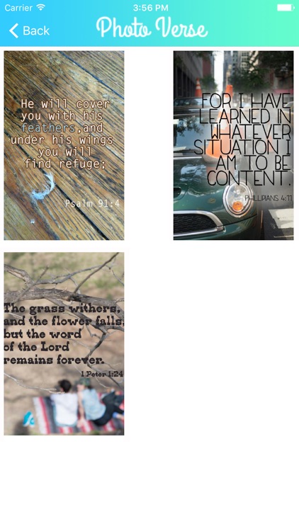 Photo-Verse screenshot-4