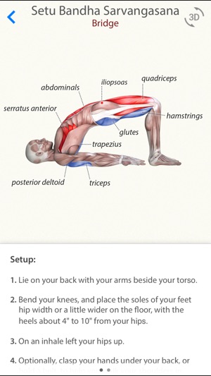 3D Yoga Anatomy Lite(圖2)-速報App