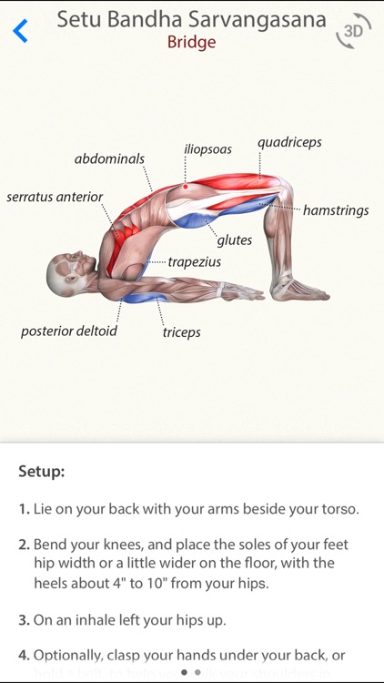 3D Yoga Anatomy Lite