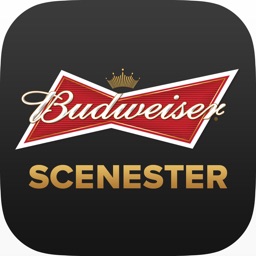 Budweiser Scenester