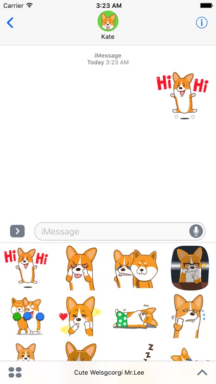 Welshcorgi Mr.Lee Cute Special