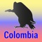 In The Birds of Colombia all species of birds regularly found in Colombia (>1,700) are described, and their approximate size given in inches and tenths of inches