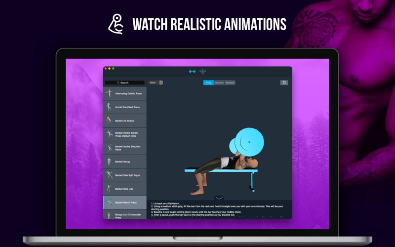 Human Anatomy 3D - Bones And Muscles thumbnail 4