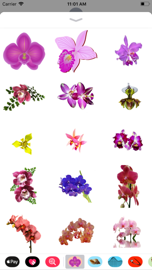 Orchid Stickers(圖1)-速報App