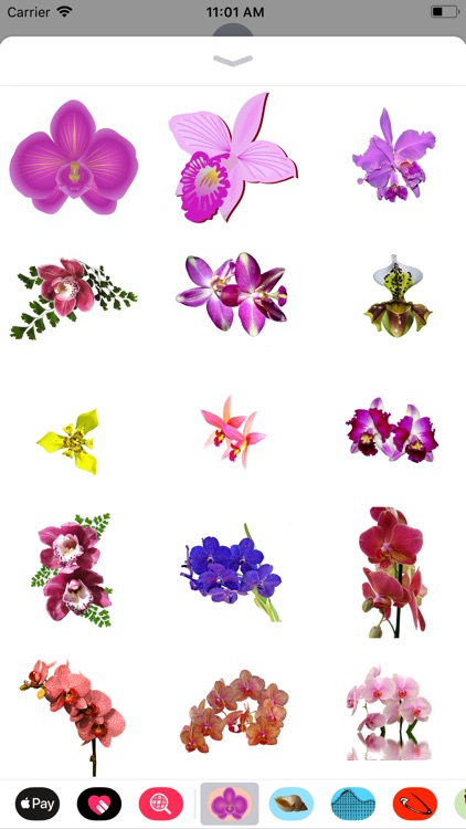 Orchid Stickers