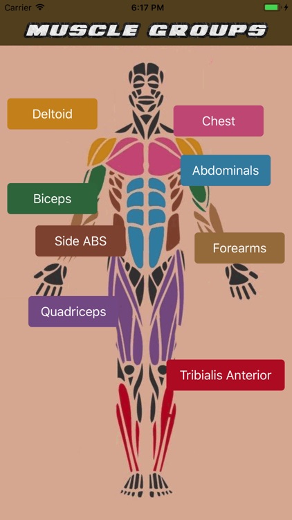 Muscle Group Workout by JOhn Lyons