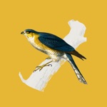 Vintage Bird Stickers