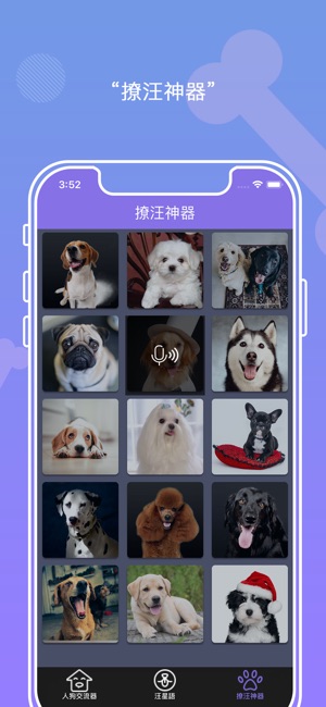 狗語翻譯器-人狗狗交流器(圖2)-速報App