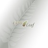 Curry Leaf Takeaway