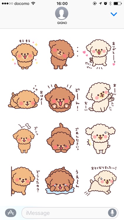 fluffy toy poodle 3set