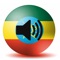 Now you can translate any word or phrase or sentence from Amharic to English or English to Amharic