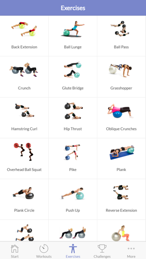 Stability Ball Workout(圖5)-速報App