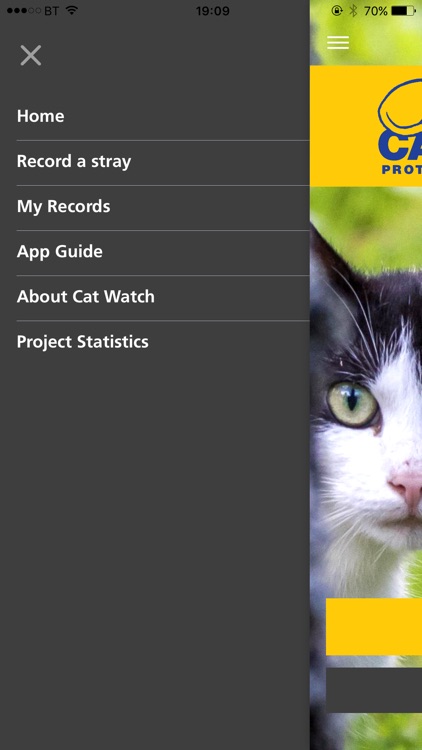 Cat Watch screenshot-3