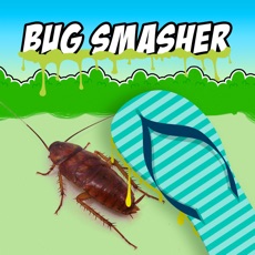 Activities of Bug Smasher - Tap on the Bugs
