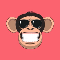 Fun Monkey Stickers