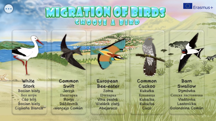 Migration of birds