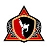 Haynes Martial Arts Academy