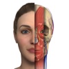 Interactive Anatomy - AE