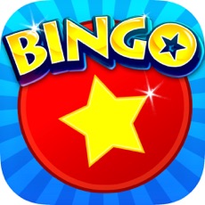 Activities of Bingo Star