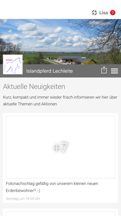 Islandpferde Lechleite