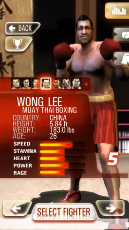 Game screenshot Iron Fist Boxing apk